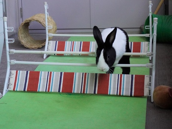 220129クッキーDSC04212 (2)