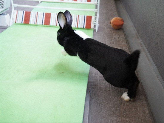 220129ビスケDSC04817 (2)