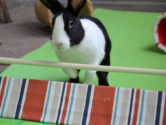 210905 こまDSC_2204 (2)