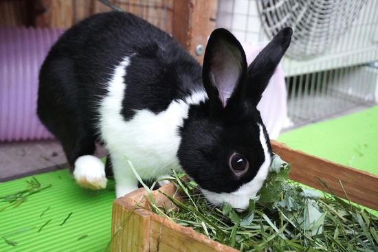 20231008こんDSC04465