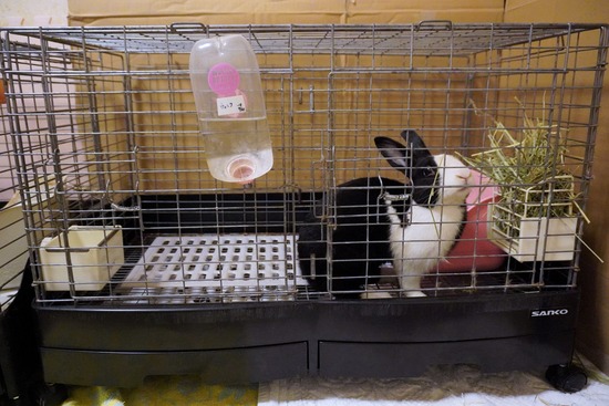 20230813こんDSC01751