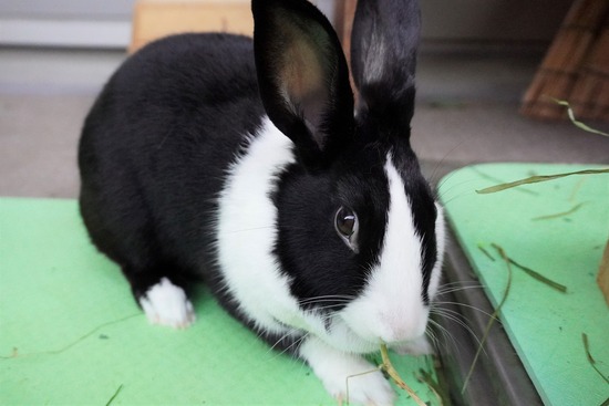 20230429みるDSC06797