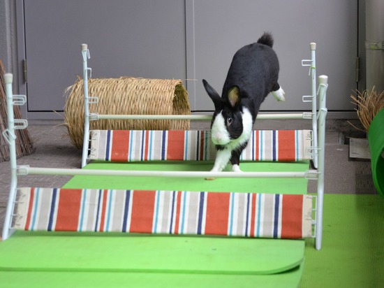 210912 obi DSC_2505 (2)