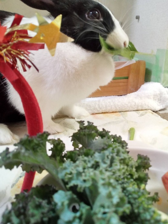 1717760707276_20240609210512