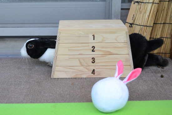 210905 itoDSC_2790 (2)