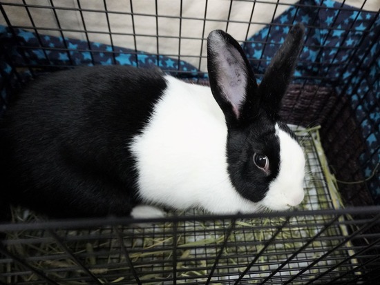 230114るりDSC04789