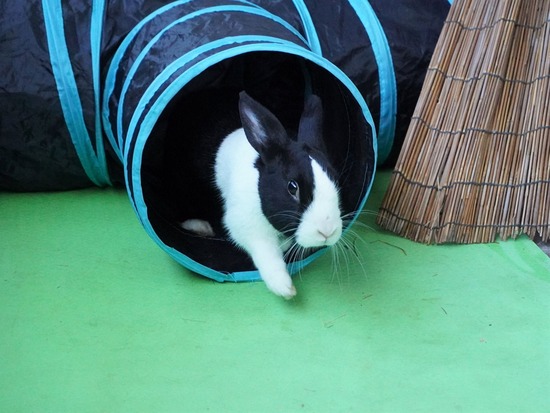 220129ビスケDSC04509 (2)