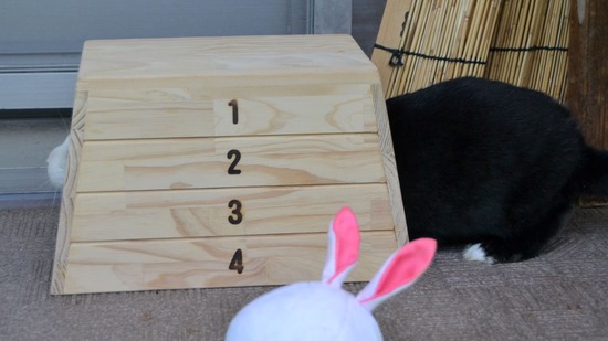 210905 itoDSC_2787 (2)