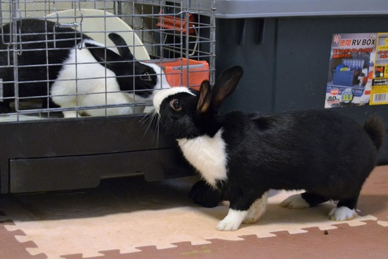 210723 オビワンDSC_2770 (2)