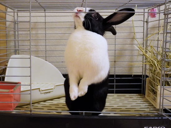 220827あんこDSC08626 (2)