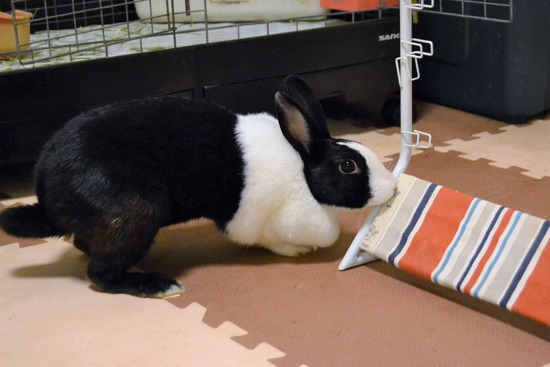 210815 おっきDSC_2270 (2)