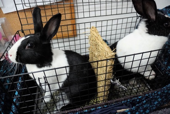 230114みる＆くりDSC04775