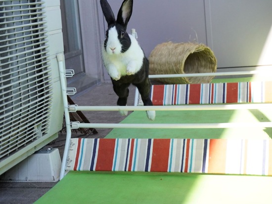 220110 komaDSC02708 (2)