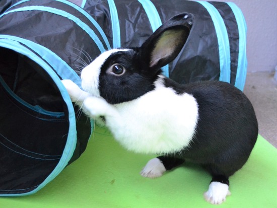 210920 b2 DSC_2064 (2)