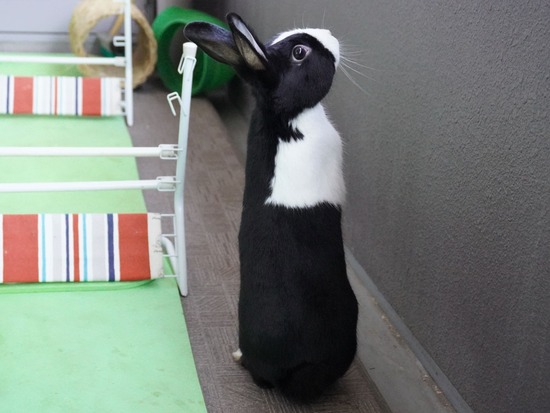 220212ビスケDSC05765 (2)