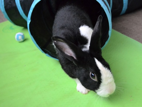 210912 bi2 DSC_0066 (2)