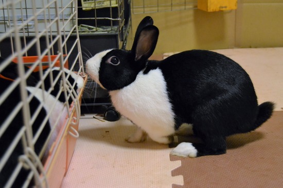 210723 ビーツDSC_0296 (2)