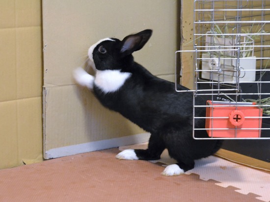 210723 オビワンDSC_2710 (2)