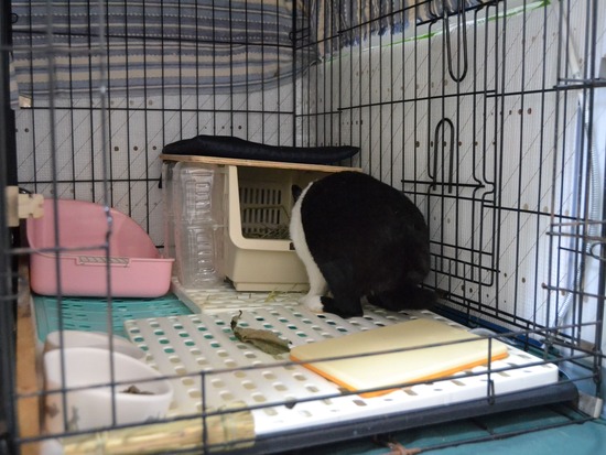 211107 b2 DSC_1558 (2)