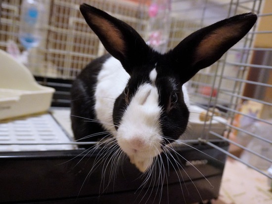 221230kiiDSC04168 (2)