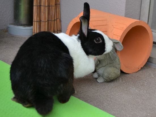 210905 okkiDSC_2402 (2)