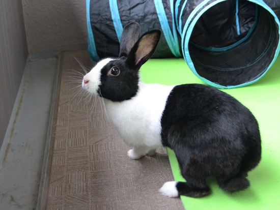 210905 こまDSC_2082 (2)