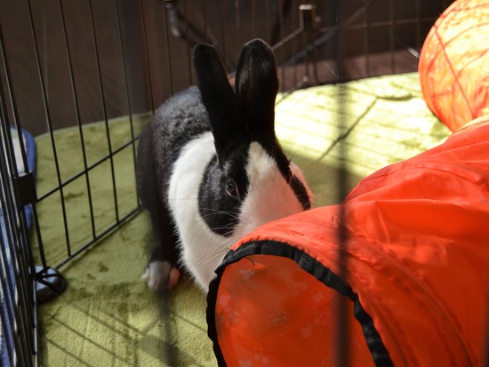 211003 powa DSC_1279 (2)