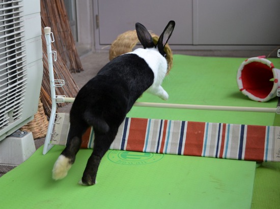 210905 こまDSC_2259 (2)