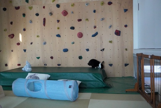 230108もなかDSC04645