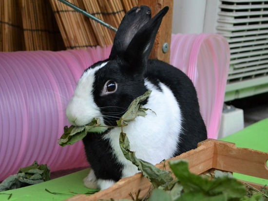 210912 bi2 DSC_2827 (2)