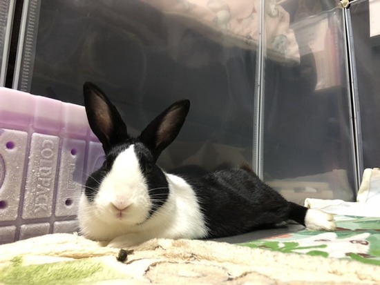 33A9B61C-2B06-467C-A6BD-47674A395F77