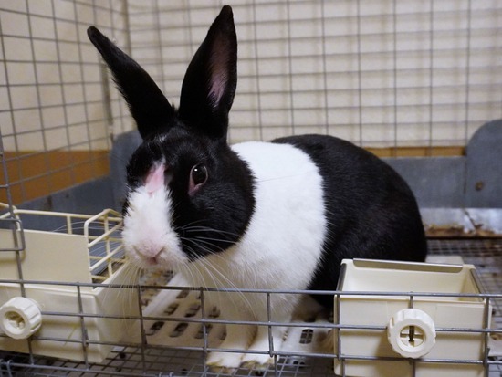 221230せいDSC04215