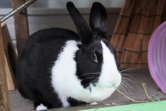 20230429みるDSC06806