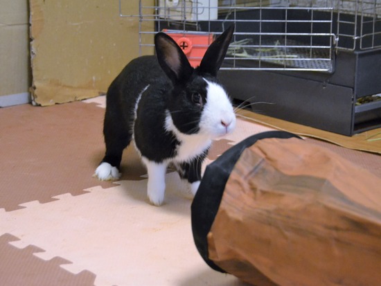 210723 オビワンDSC_2734 (2)