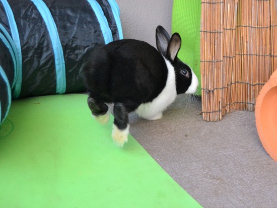 211226 クッキーDSC_1303 (2)