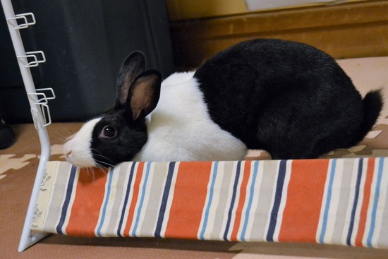 210815 たまDSC_2114 (2)