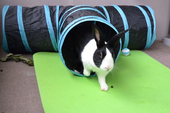 210905 itoDSC_0047 (2)