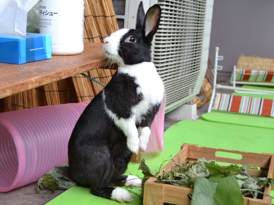 210912 obi DSC_2800 (2)