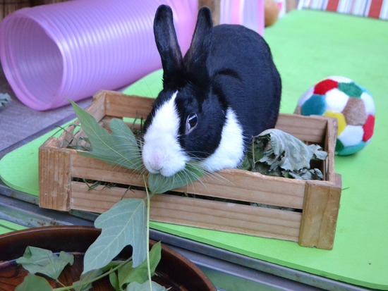 210920 obi DSC_2138 (2)