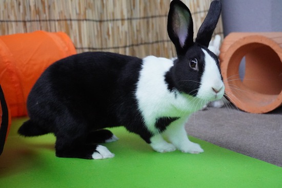 20231001みるDSC03228