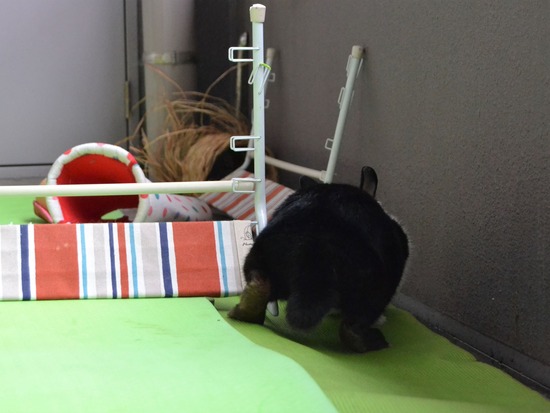 210905 おっきDSC_2366 (2)