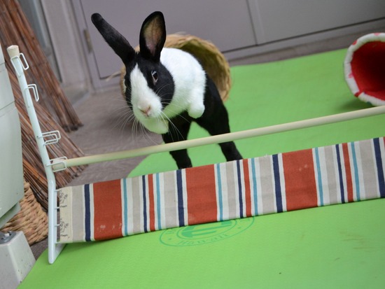 210905 こまDSC_2307 (2)