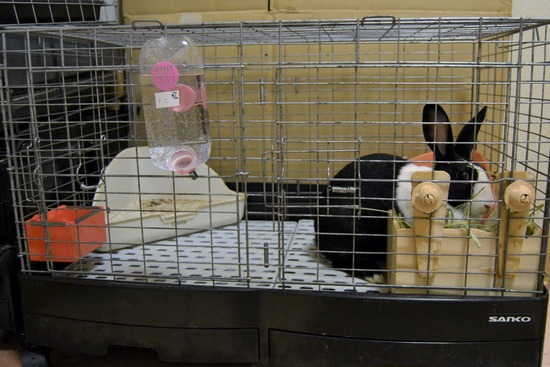 211114 ito DSC_1303 (2)