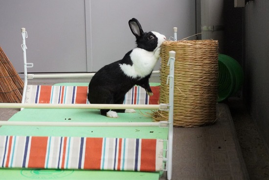 20230429こんDSC06473