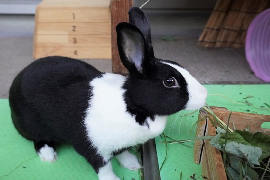 20230429みるDSC06793