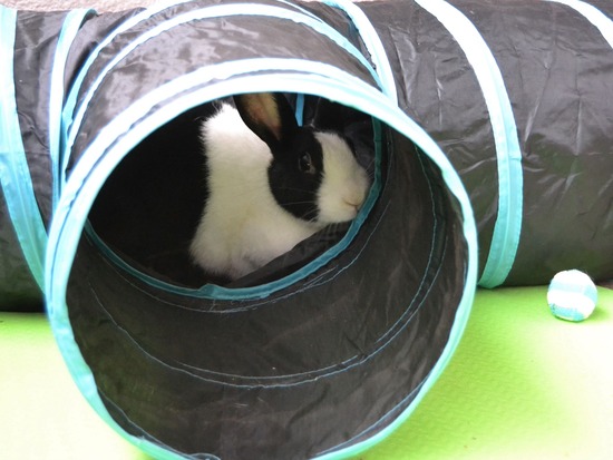 210905 okkiDSC_2602 (2)