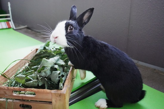 20231001こんDSC03507