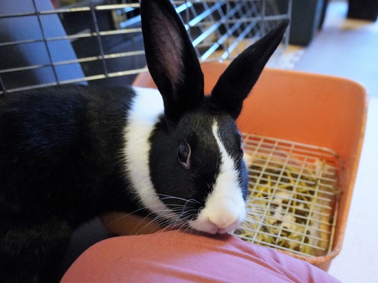 220904もなかDSC09461 (2)