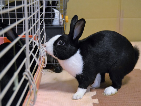 210723 オビワンDSC_2738 (2)