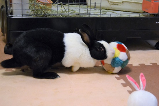 210723 おっきDSC_3084 (2)